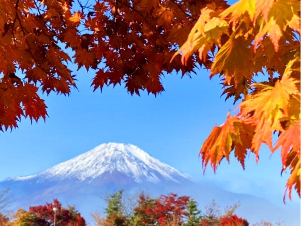 富士山と紅葉のイメージ